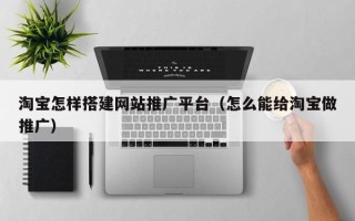 贵港淘宝怎样搭建网站推广平台（怎么能给淘宝做推广）